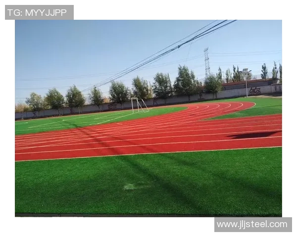 南京羽毛球队逆袭联合会杯的辉煌征程与背后故事